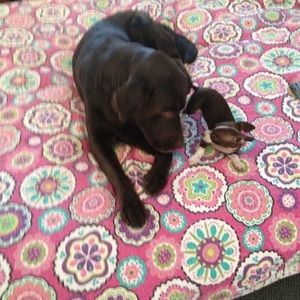 Meet your Posher, Deborah